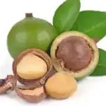 Macadamia nuts